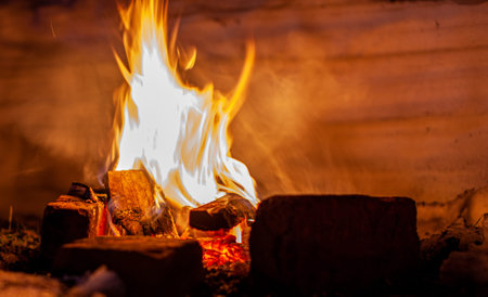 A campfire burns in the snow at night in the snow in the cold winter. The flame of the fire warms...