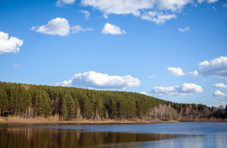 A clear lake in a green forest. Blue sky with white clouds over a lake in the forest. Nature...