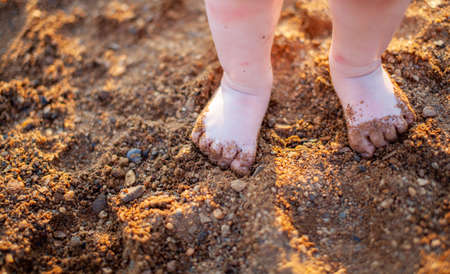 Children's bare feet in summer on a golden sandy beach close-up. The concept of child safety. The concept of recreation with children.の写真素材