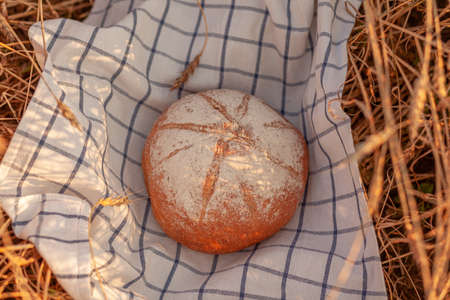 Whole grain rye bread on a checkered napkin in a field of wheat earsの写真素材