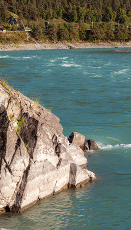 A fast-flowing wide and full-flowing mountain river. Large rocks stick out of the water. Big...