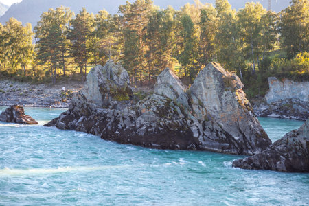 A fast-flowing wide and full-flowing mountain river.