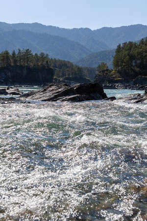 A fast-flowing wide and full-flowing mountain river. Large rocks stick out of the water. Big mountain river Katun, turquoise color, in the Altai Mountains, Altai Republic.の写真素材