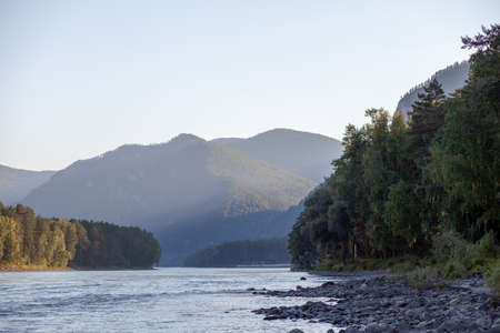 fast-flowing wide and full-flowing mountain river. the shore is visible against the background of a beautiful forest. Big mountain river Katun, turquoise color, in the Altai Mountains, Altai Republiの写真素材