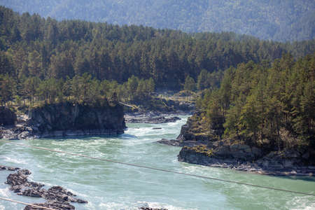 fast-flowing wide and full-flowing mountain river. the shore is visible against the background of a beautiful forest. Big mountain river Katun, turquoise color, in the Altai Mountains, Altai Republiの写真素材