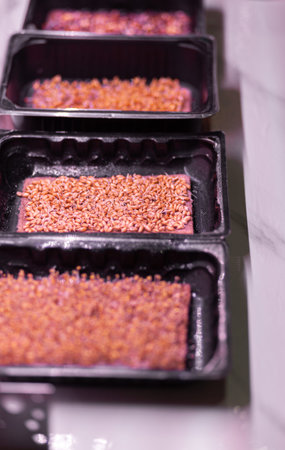 Close-up of micro greens of mustard, arugula and other plants at home. Growing mustard and arugula...