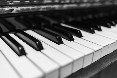 Piano keys closeup. Musical instrument in black and white photo.の写真素材
