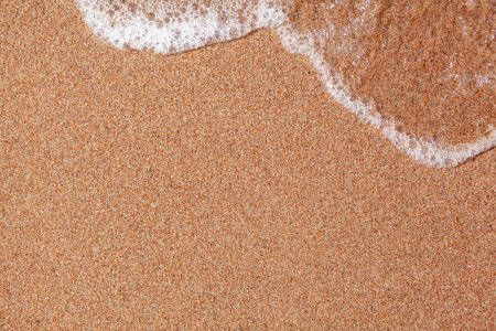 A soft wave runs on a sandy shore on a summer day.