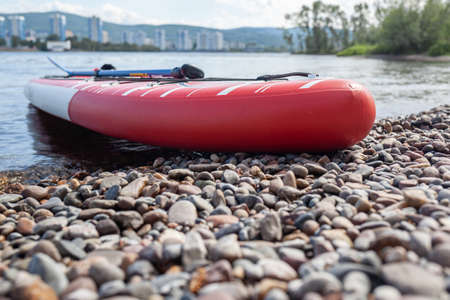 SUP board on the river bank. Paddle board on the lake shore. Support water tourism and active sports.の写真素材