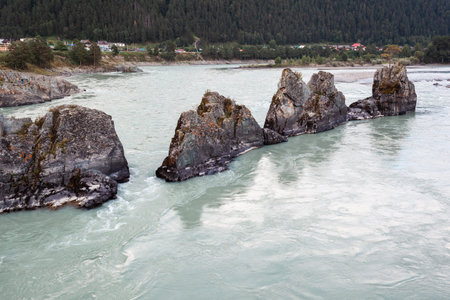 A fast-flowing wide and full-flowing mountain river. Large rocks stick out of the water. Big...