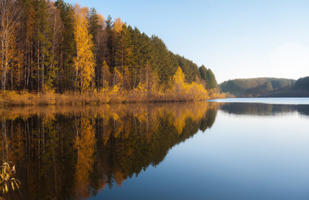 Colorful foliage tree reflections in calm pond water on a beautiful autumn day. A quiet and beautiful place to relax.の写真素材