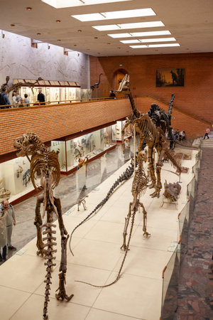 20.11. 2022, Moscow, Russia, Yu.A. Orlov Paleontological Museum, Tricerapers Dinosaur Skeleton....