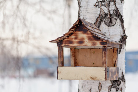 wooden bird feeder. Birds feeder covered with snow at winter time, helping birds in winter. Wooden...