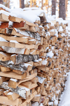 Stacked firewood covered with white snow, wood for kindling and heating. woodpile with stacked firewood birch tree covered fresh icy frozen snow and snowflakes. cold weather and snowy winterの写真素材