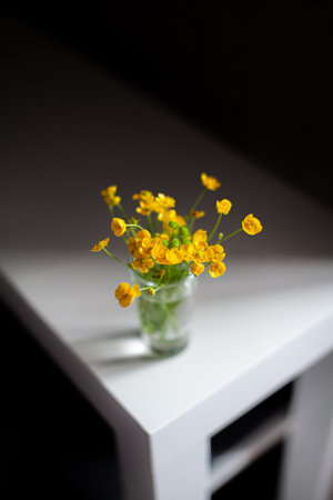 Composition of bright yellow wild flowers in a glass beaker on a white table against a dark background. close-up.の写真素材