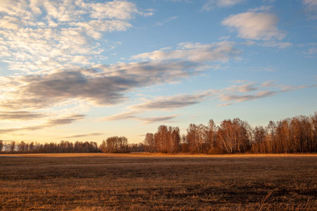 Autumn yellow forest and field. Blue sky with bright sun and clouds over the forest. The beauty of nature in autumn or spring.の写真素材