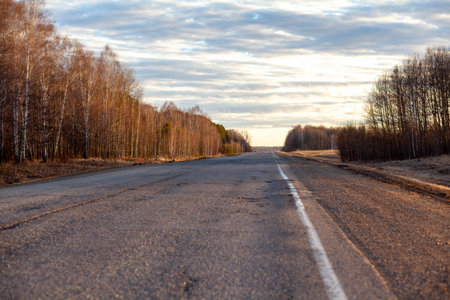 Country road with markings in the middle of the forest. Path and movement forward through forest and field in spring at sunset. Concept of success in the future goal and time passingの写真素材