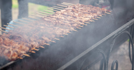 A lot of juicy meat kebabs in a row on the grill. Meat pieces strung on wooden skewers on the grill. The process of cooking kebabs with a lot of smoke. Cooking in natureの写真素材