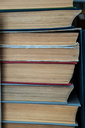 There are a lot of books on the shelves in the school library.の写真素材