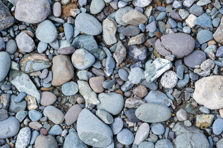Background of small pebbles and stones on the seashore or in gardenの写真素材