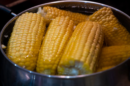 Home cooking boiled corn in a saucepan. Lots of sweet boiled corn.の写真素材