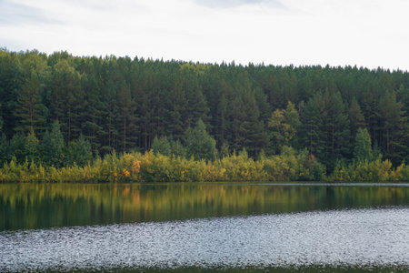 Colorful foliage tree reflections in calm pond water on autumn day.の写真素材