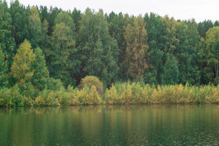 Colorful foliage tree reflections in calm pond water on autumn day.の写真素材
