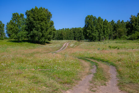 country road between fields with hay bales in autumn in the mountainsの写真素材