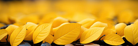 Background of yellow leaves, natural background and wallpaper, Background group of autumn leaves, Generative AIの素材