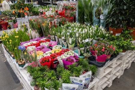 An array of potted plants and flowers creating a beautiful landscape displayのeditorial素材