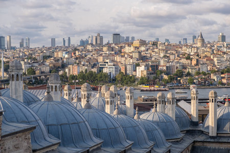 A stunning panorama showcases Istanbul's skyline featuring the Bosphorus and historic domes set...