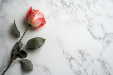 A delicate rose lies gracefully on a smooth white marble surface, highlighting its vibrant colors against the minimalist backdrop.の素材