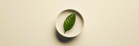A single green tea leaf is placed elegantly on a white ceramic dish, emphasizing a minimalist aesthetic and natural beauty.の素材