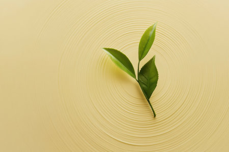 A single tea leaf lies on a smooth, pale yellow surface, forming delicate ripples in the light, evoking tranquility and simplicity.の素材