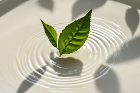A vibrant green tea leaf rests on water, causing gentle ripples, with soft light casting delicate shadows in a tranquil ambiance.の素材