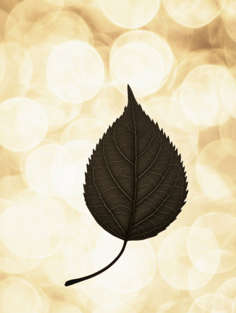 A tea leaf stands out in silhouette, set against a warm, softly illuminated backdrop, evoking tranquility and natureの素材