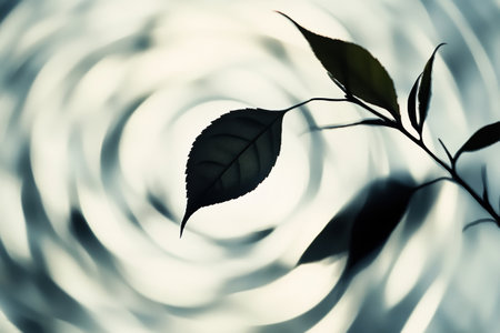A tea leaf silhouette gracefully stands out against the swirling light, showing the tranquility and elegance of the natural world.の素材