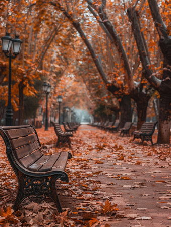 A serene park pathway in autumn features benches surrounded by colorful fallen leaves, creating a perfect spot for relaxation.の素材