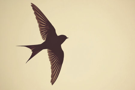 A bird glides effortlessly against a warm backdrop, highlighting its beautiful wings in a peaceful twilight setting.の素材