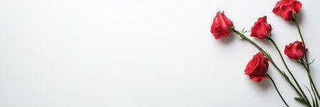 Five vibrant red roses with green stems displayed on a clean white background create a fresh and elegant atmosphere.の素材