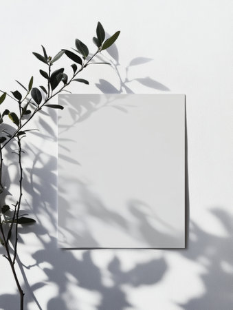 Natural light enhances the interplay of shadows from foliage on a blank canvas against a white wall, creating a serene atmosphere.の素材