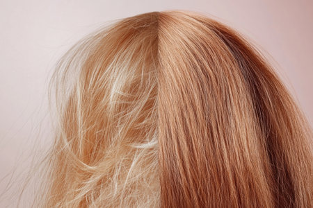 On one side, damaged hair appears dull and frizzy, while the other side showcases shiny, healthy hair with a smooth texture.の素材