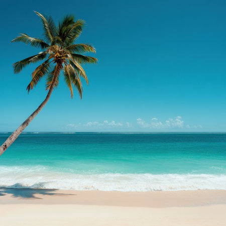 Relax at a serene tropical beach with a coconut palm by turquoise waters and a clear blue sky. Pure paradise!の素材