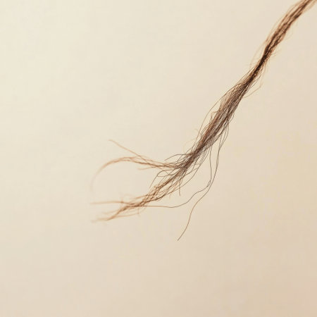 Close up view highlights a broken strand of hair with noticeable split ends against a smooth, neutral background, capturing its delicate texture.の素材