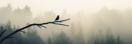 A solitary bird rests on a barren branch overlooking a misty forest, creating a serene and tranquil atmosphere at early morning.の素材