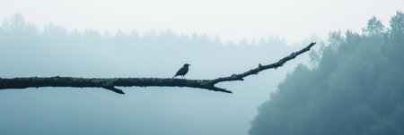 A solitary bird rests on a lifeless branch, surrounded by a serene mist hovering over a dense forest during the quiet early morning.の素材