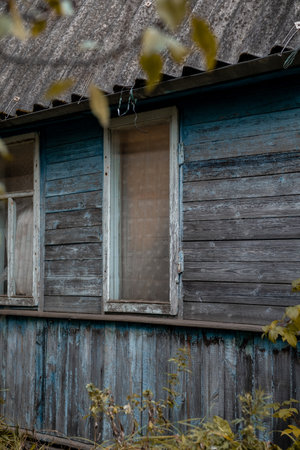 A weathered wooden house with blue paint shows signs of age, surrounded by lush greenery in a tranquil rural environment.の写真素材