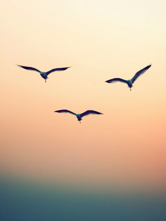 Three birds glide effortlessly in the sky, silhouetted against a pastel sunset over calm ocean waters, conveying tranquility and freedom.の素材