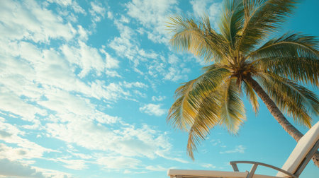 A tranquil beach setting showcases a tall palm tree swaying gently in a light breeze under bright blue skies with scattered clouds.の素材