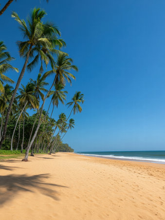 Tall palm trees sway gently on a pristine sandy beach under a bright blue sky, inviting relaxation on a warm day by the ocean.の素材